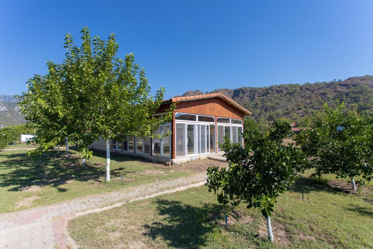 Ugur Pansiyon Bungalows Çıralı 外观 照片