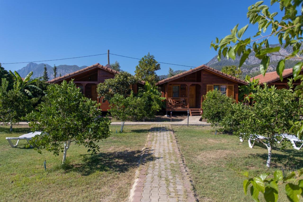 Ugur Pansiyon Bungalows Çıralı 外观 照片