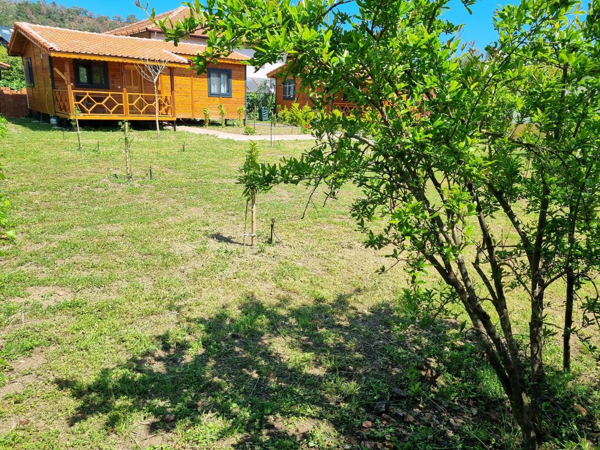 Ugur Pansiyon Bungalows Çıralı 外观 照片